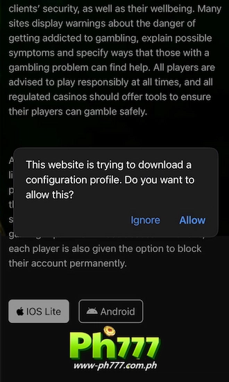 Step 3: Select Allow.