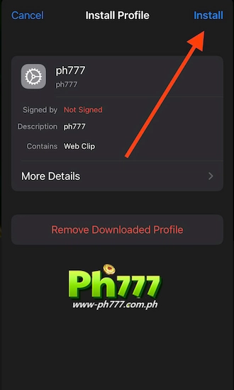 Step 4: click Install.