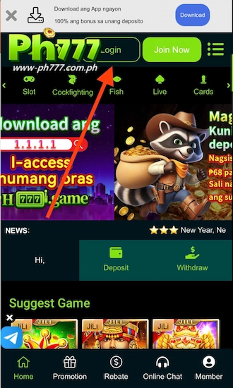 Step 1: Access the platform's homepage and click Login